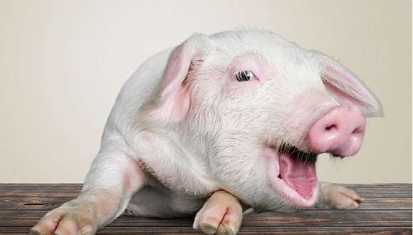 ��ԭ�ɷݹɶ����泬8��