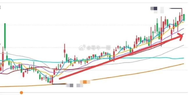 ֧����Ͷ�����Ӷ���Ƕ��٣�֧��������Ͷ��ô����