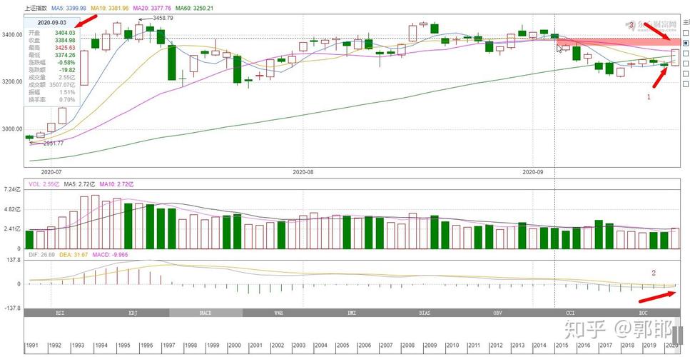 ������������ѯ