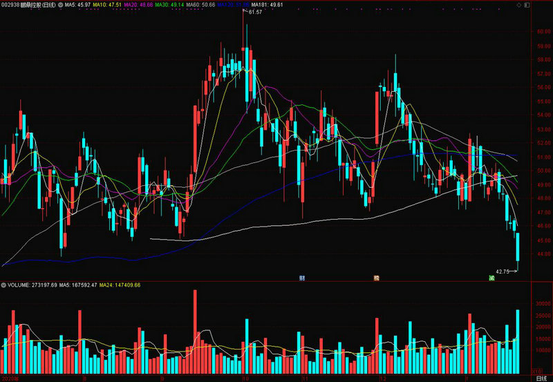 009381�������� 009381������쾻ֵ��ѯ