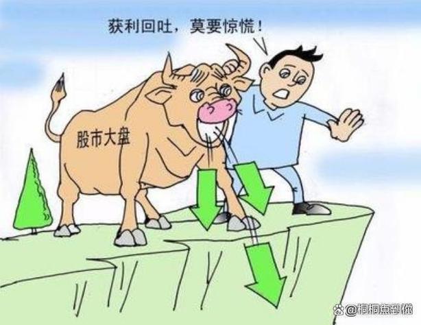 ��˾ע���ɶ���Ͷ�ʿ�����һ���ɶ��˳���