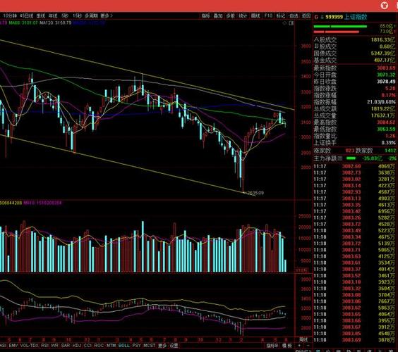 ����֧���ʸ���100��ÿ�ɹ�����