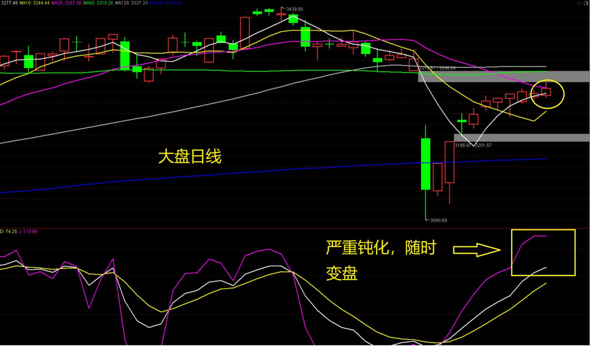 ��һ�����н���ҵ��ժ�� �����������ķ羰����ҵ�ѡ��벻�����