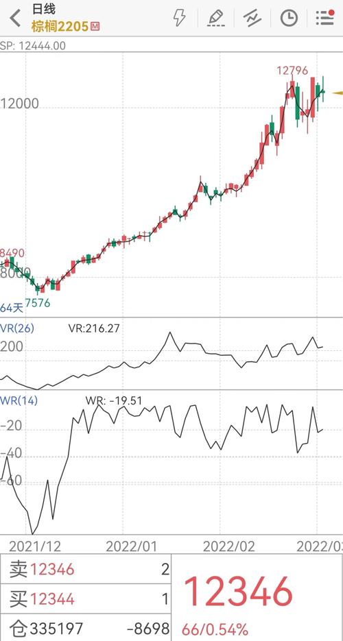 ��Ʊ��Ѻ�����������𣨹�Ʊ������Ѻ��������