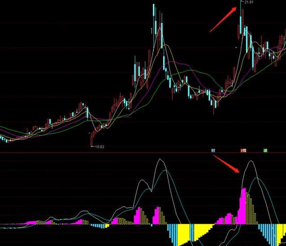 �гɹ�Ʊ����