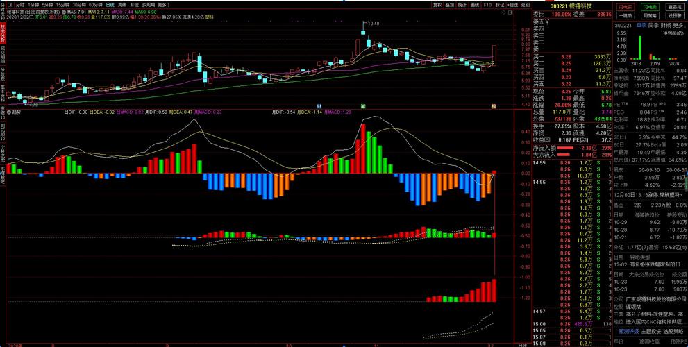 �����ز�2020���걨�������ز�ѩ��