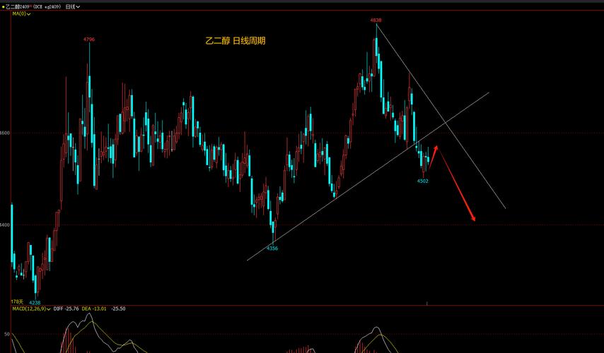 景顺鑫月薪债券基金公告(公告通告) 景顺鑫月薪债券基金公告(公告通告)