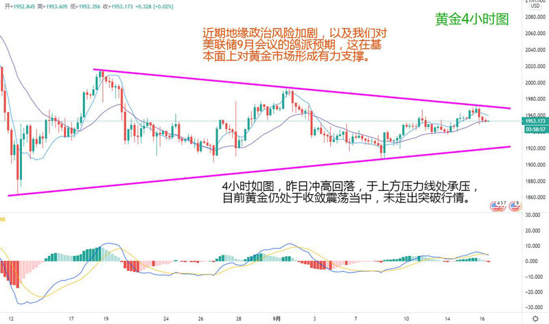 ����Ͷ�ʿع���ҵ����˾����Ͷ�ʣ�