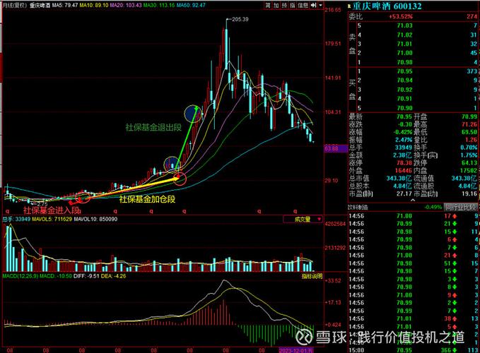丰乐种业更名国投种业 丰乐种业更名国投种业