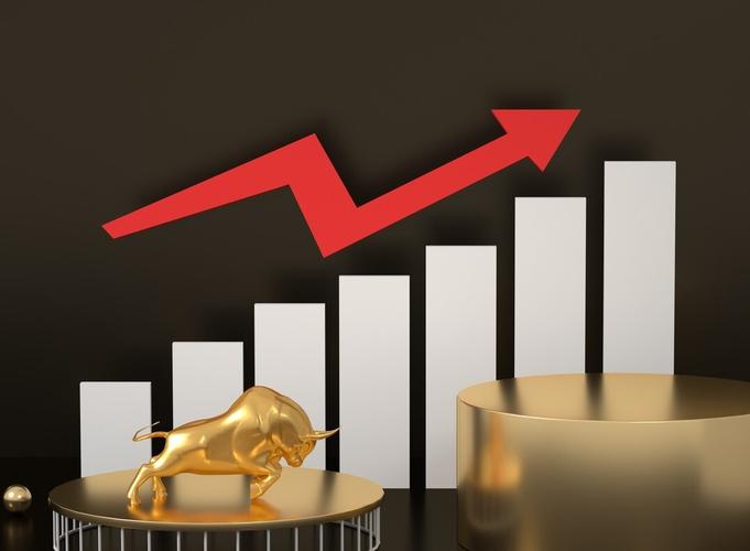 ���¹ɷݻ᲻������(���¹ɷݻ�������)