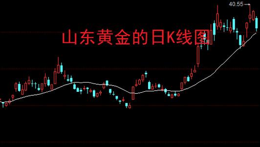 哈药股份未来会涨到20元 哈药股份未来会涨到20元