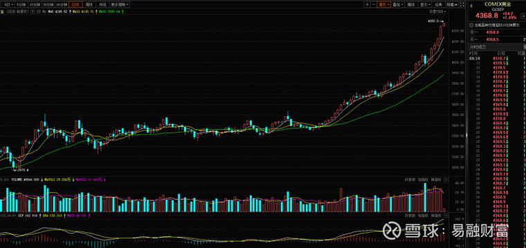 �������ʺ���ȯ���������������ȯ��