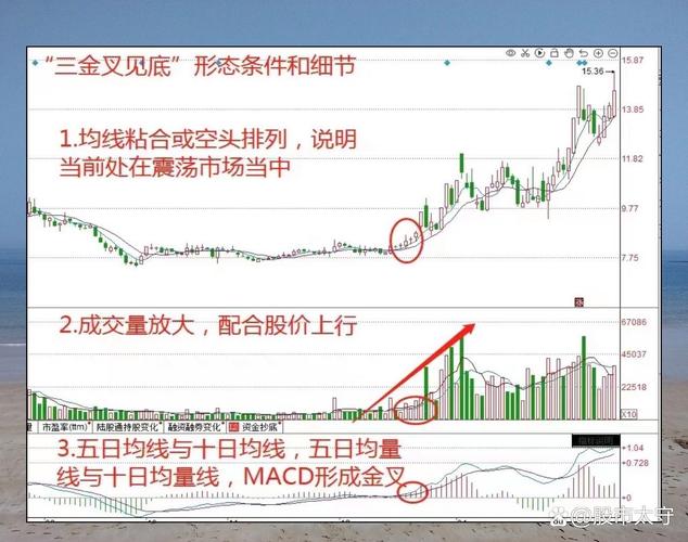 Ͷ�����ʵ��Թ����취����ʵʩ ��ת�ս�������׼���ż�