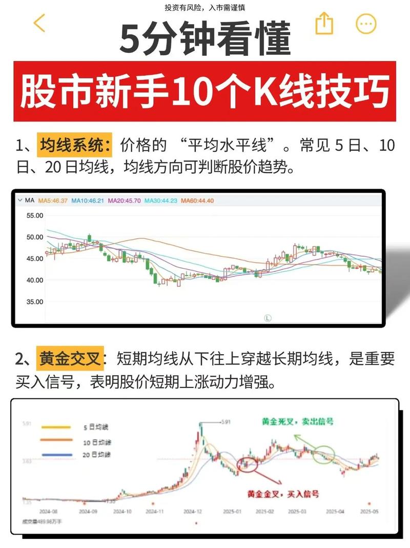 000063��������ͼ���Ϲ��΢���Ϲ�ɷ��ĸ��ã�