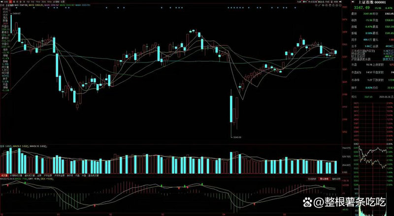 ��Сë��Ʊ��ţɢФԣ����飩