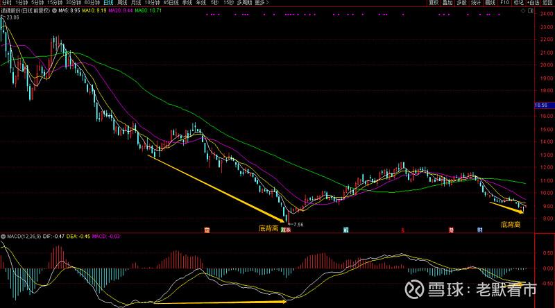 ������СIPO��Сɢ��Ʊ������������ô�죩