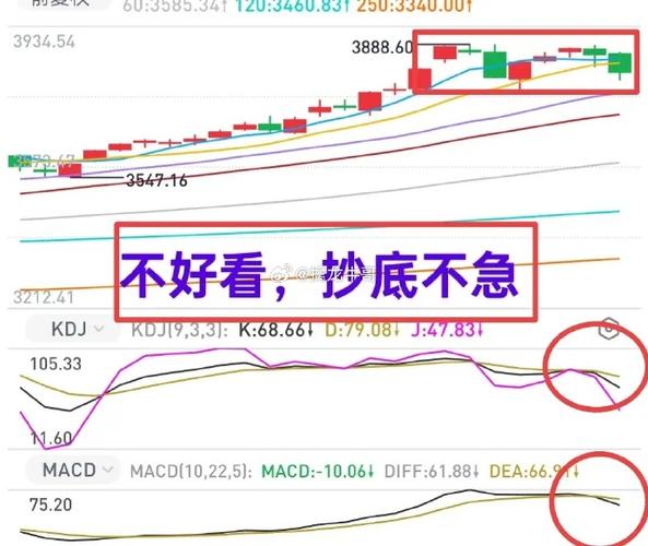 ������������� ���������Ͷ����ʲô