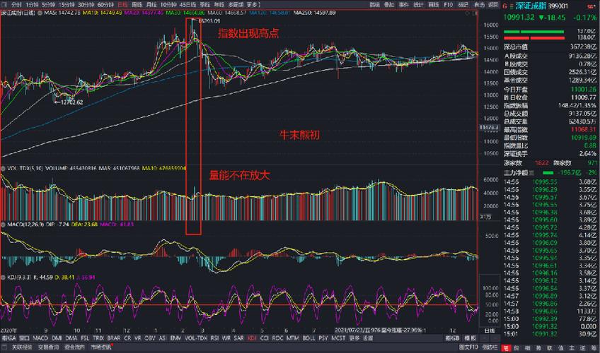 �����ӯ�ʵ������У��ɼ���ӯ����ʲô������