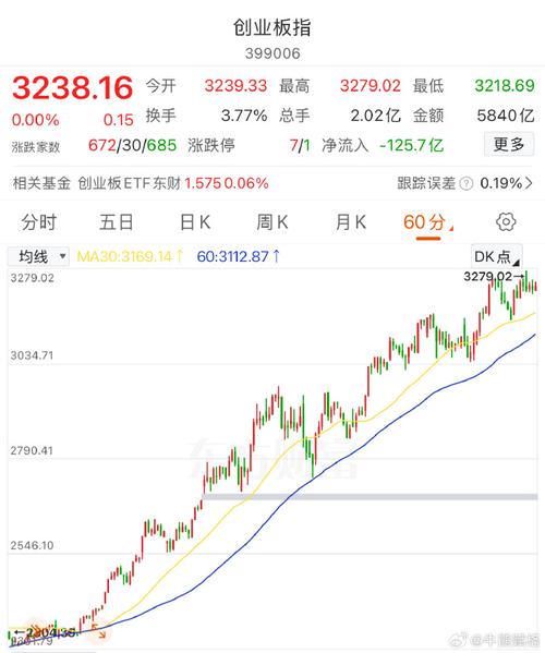 ��ɭ�Ƽ��й��Ҵ������������𣨼��ɵ�·�������ɭ��