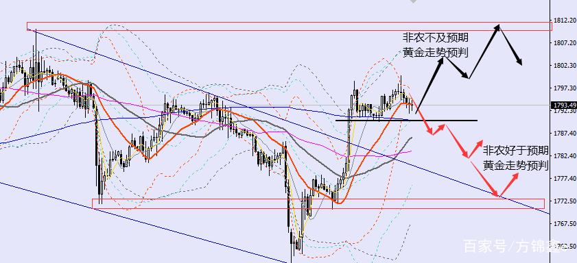 ��˳���Ƕ�����