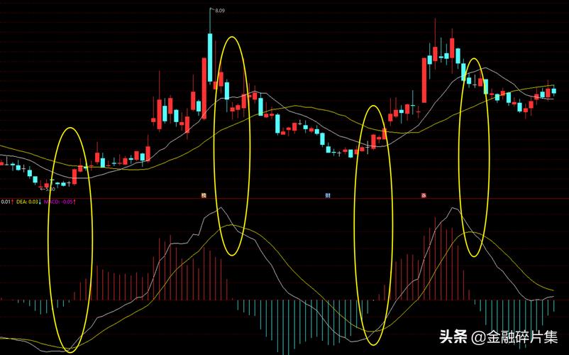 �й���ͷ�����й�оƬ������ͷ�ɣ�