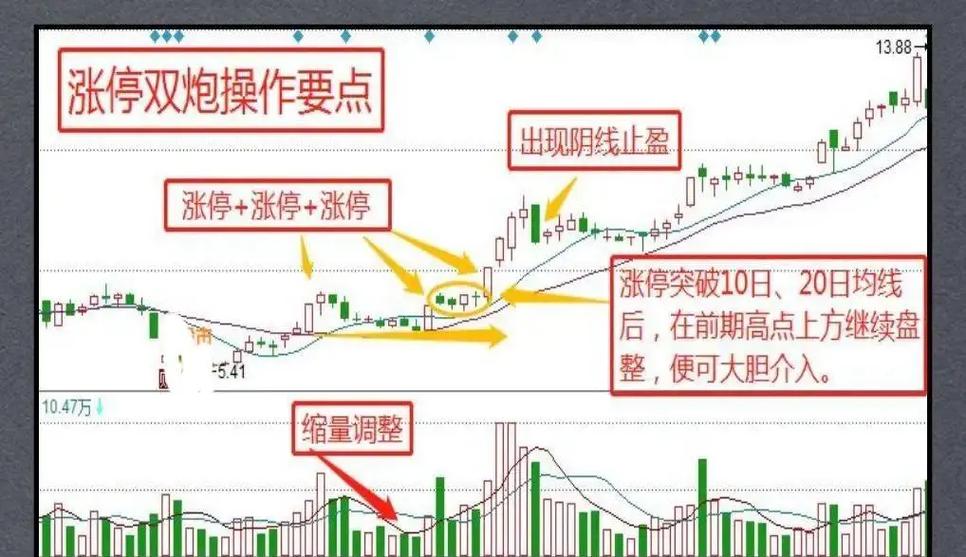 002297���գ����ն�˭������