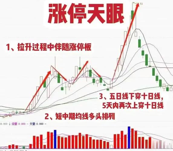 ��������а��Ź���(2021��������м����Ʊ)