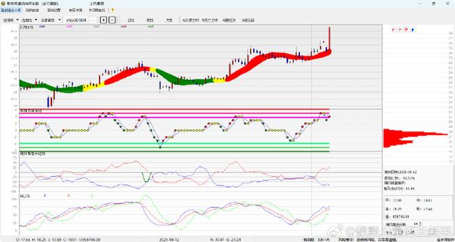 �������ι�Ʊ��������