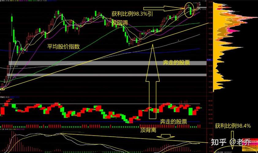 ���£����������������нṹ�Ի��� ������Ͷ������ �°�������