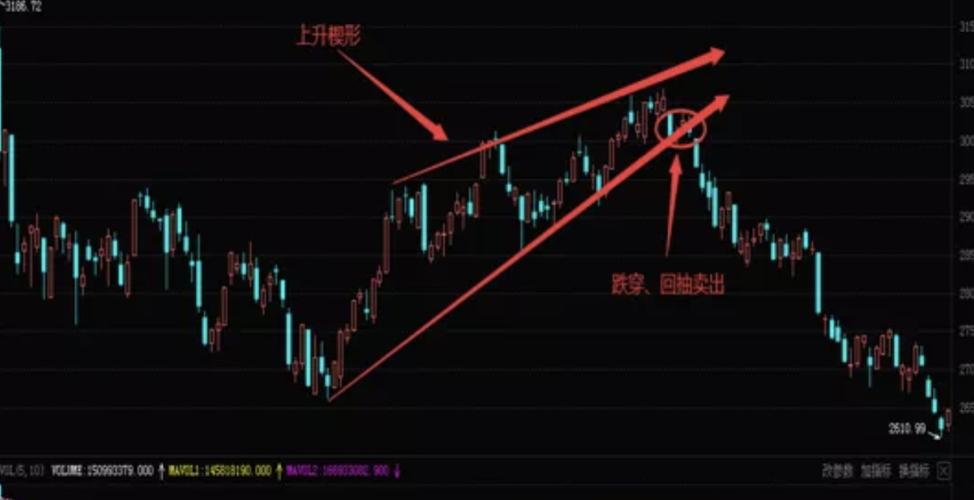 ��������걨�������Ϻ����������������