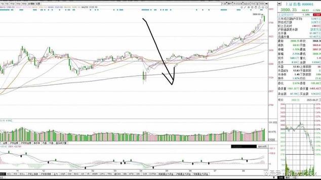 ������5����ͷ������!δ��Ͷ�ʻ���ʹ���