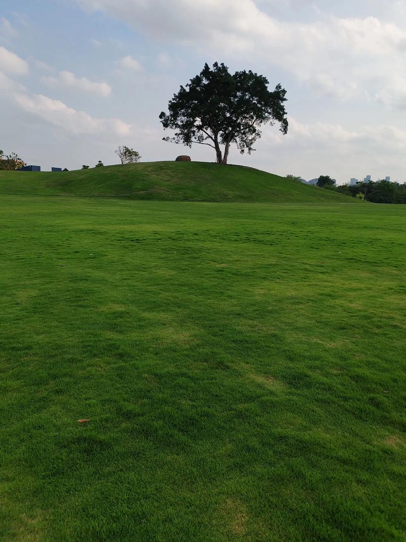 Á½ÊÐÕðµ´·Ö»¯»¦Ö¸ÕÇ0.23% ½ðÈڹɷ׷××ß¸ß ×ʽðΧÁÔÖб¨Ô¤ Á½ÊÐÕðµ´·Ö»¯»¦Ö¸ÕÇ0.23% ½ðÈڹɷ׷××ß¸ß ×ʽðΧÁÔÖб¨Ô¤