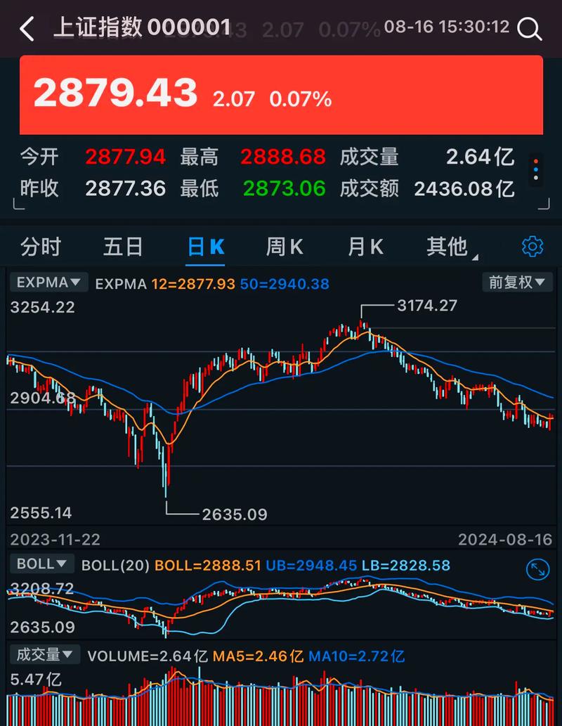 ��ģ������ʮ������ֻ����Ϊʲô�ܵ�Ͷ����׷����