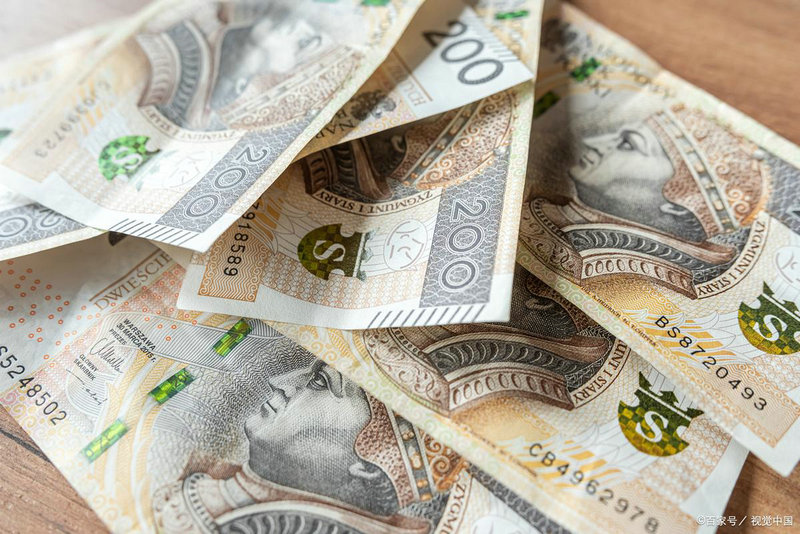 090009����213001������쾻ֵ��