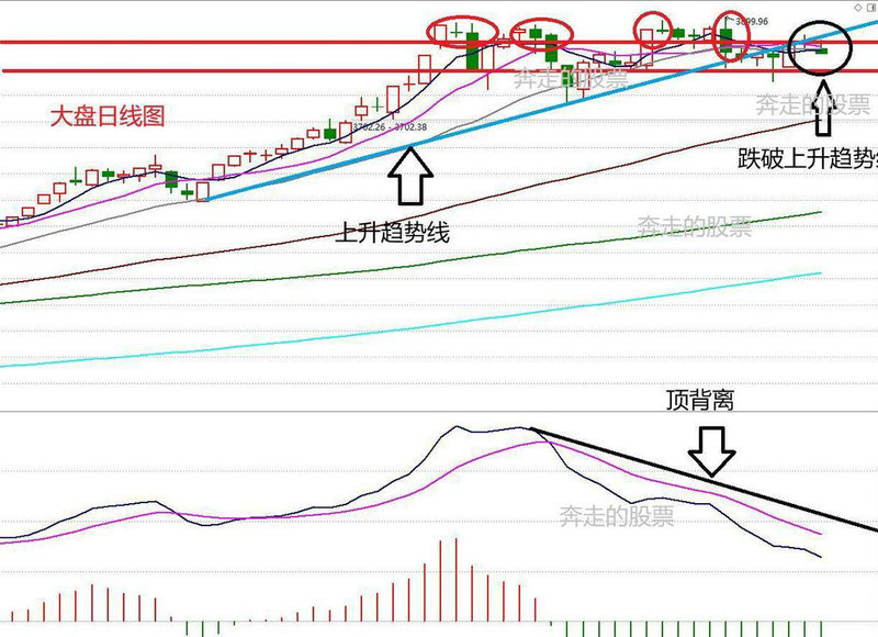 福建板块再度爆发 海峡东风吹皱A股一池春水 福建板块再度爆发 海峡东风吹皱A股一池春水