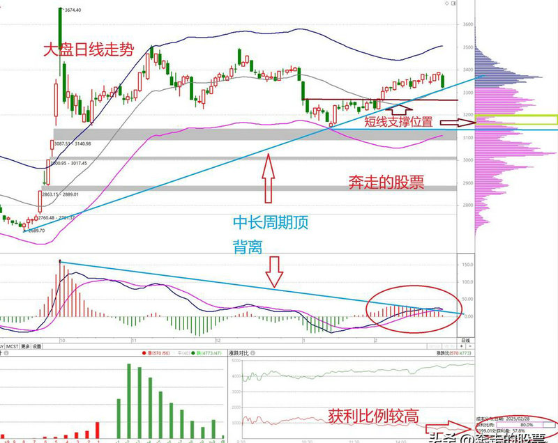 ��ʱ��ѡ���