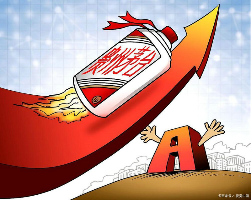 ���ڻ���˾��飨���ڻ�������֤��ᣩ