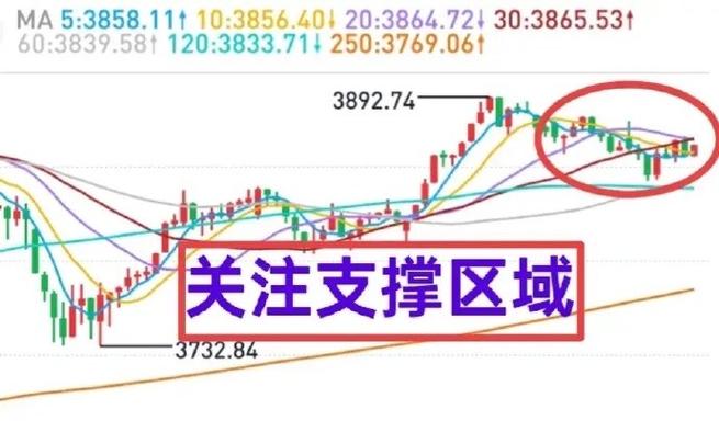 华安宏利净值 华安宏利净值