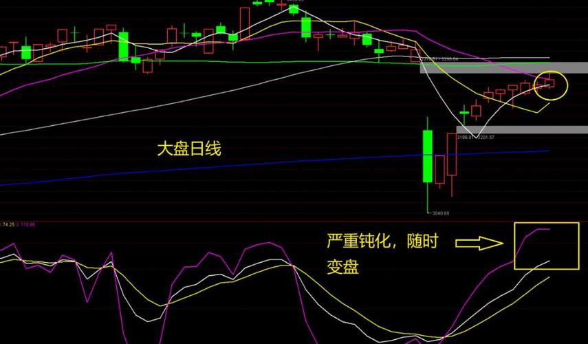 2025�������ɷ�ʲôʱ���Ȩ�������ɷݽ�����ô������ô�ࣩ