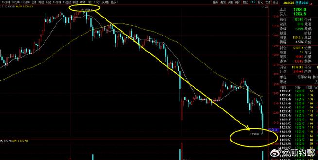 ����˶�������_����˶�����������