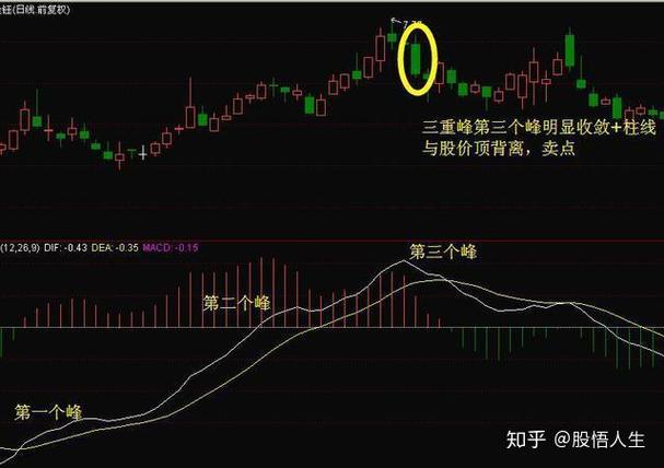 ��Ʊ�ĳɽ���ʲô��˼