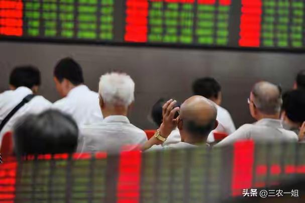 2016�������� 2019��������