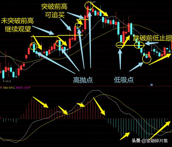 ���������� ���׺� ������˾����