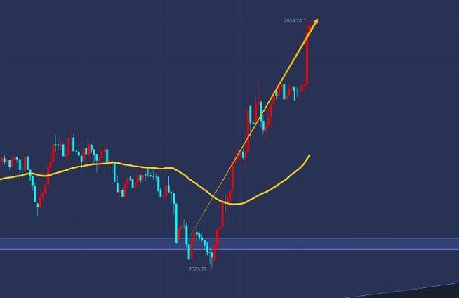 生猪期货上市时间_生猪期货上市走势预测 生猪期货上市时间_生猪期货上市走势预测