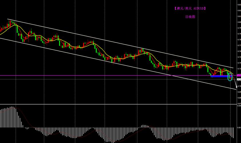 ������˾������Ů�� �������Ŷ���