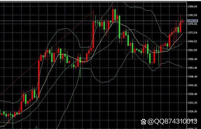 ��Ī��ƽ� ��Ī��ƽ��Ʊ����