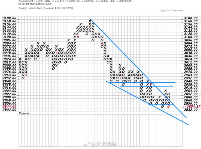 ת������ ���ҽҩ��̾�ѡ��СIPO