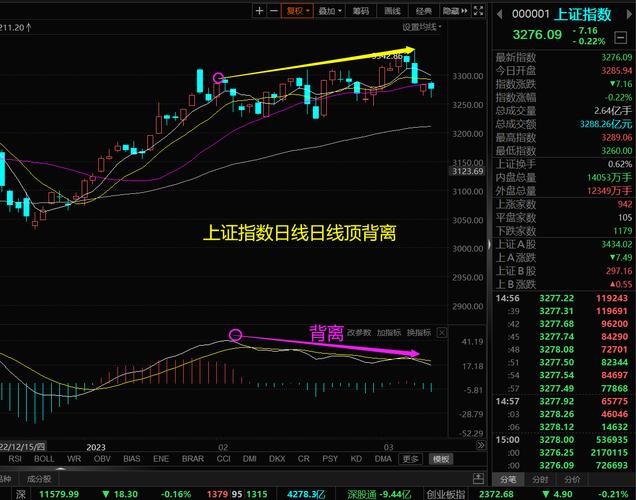 �����㽭ipo �����㽭�������ô���