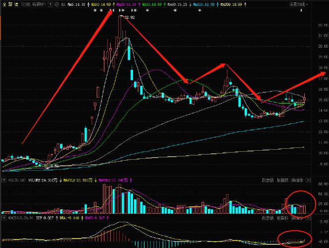 基金定投业务具体的流程(开通基金定投) 基金定投业务具体的流程(开通基金定投)