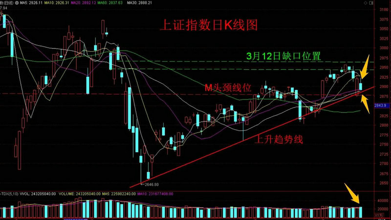 菜粕现货价格今天 菜粕现货价格今天